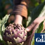 A boy's hands touching an artichoke in a field